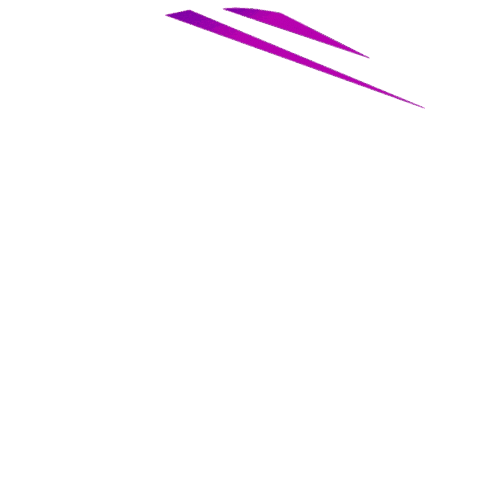 Team ToraTora Sticker