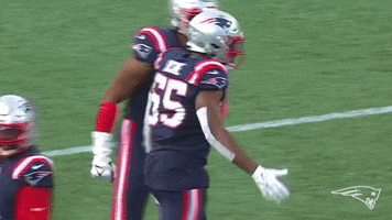 High Five Kyle Van Noy GIF by New England Patriots
