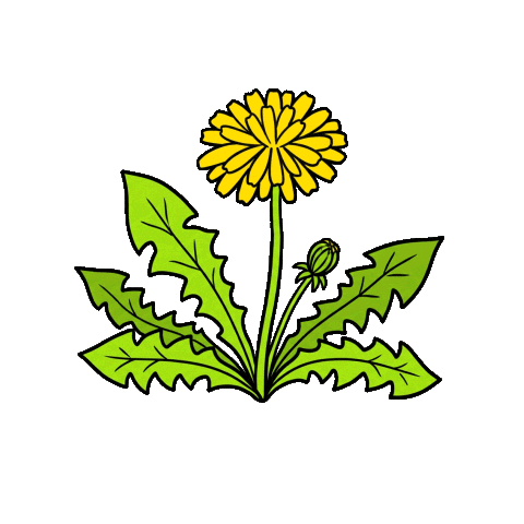 Pusteblume Sticker by startgmbh