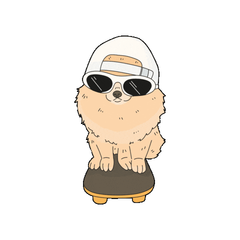 Dog Summer Sticker