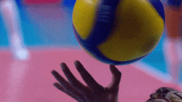 Loop Spinning GIF by Volleyball World