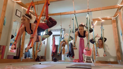 Yoga Class GIF by YOGABODY - Find & Share on GIPHY