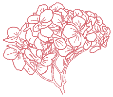 Flower Bouquet Sticker by Julia Nance Portraits