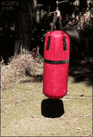 sheep fight me GIF