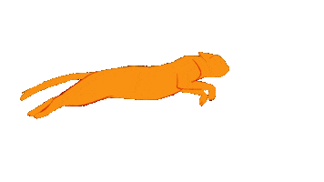 Cat Sticker
