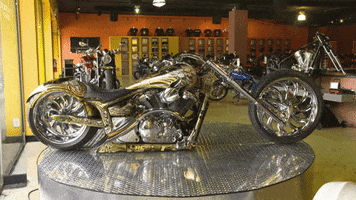 secret-lives-of-the-super-rich  GIF