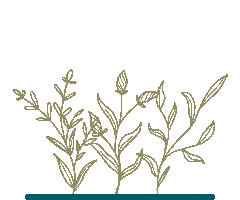 Oludeniz Sticker by Ölüdeniz Blu Luxury Unique Hotel