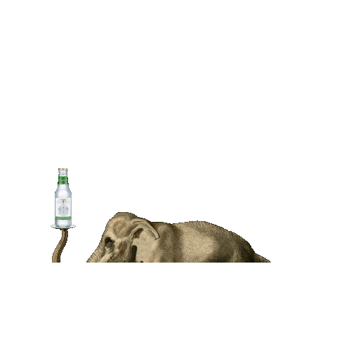 Double Dutch Drinks Sticker