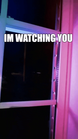 Im Watching You GIF
