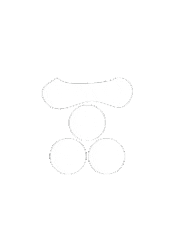 Irezumi Japanese Tattoo Sticker by KYODAI COMPANY