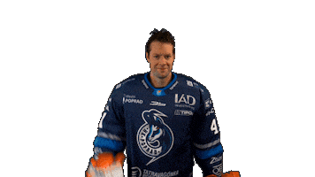 Goalie Parks Sticker by HK Poprad