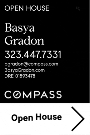 Basya Gradon GIF