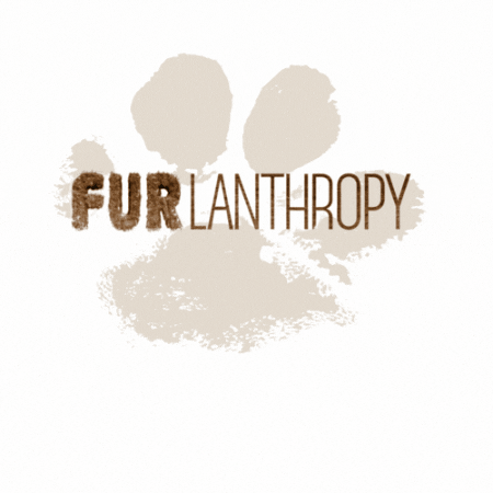 Furlanthropy animalcharity pawsforacause furlanthropy petcrowdfunding GIF