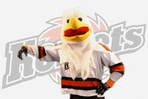 hockey bird GIF by Fort Wayne Komets