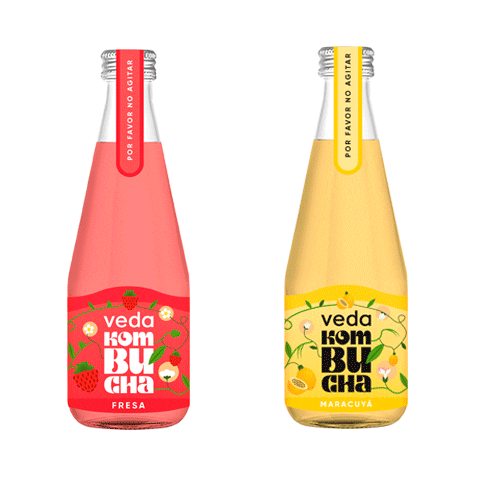 Kombuchadrink Sticker by vedakombucha