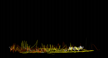 Drawing GIF