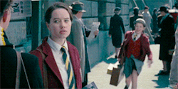 the chronicles of narnia GIF