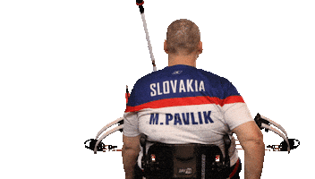 spvparalympic Sticker