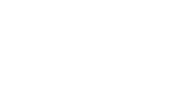 Padocaffe Sticker