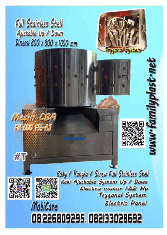 Chicken GIF