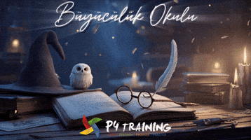 P4 Training GIF