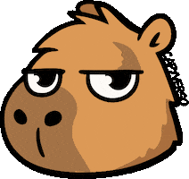 Curitiba Capybara Sticker by PillowToy