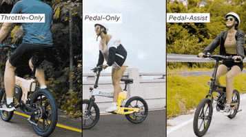 Ebike GIF