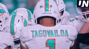 Nfl Miami GIF by The Undroppables