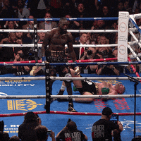 Deontay Wilder Knockout GIF by Premier Boxing Champions