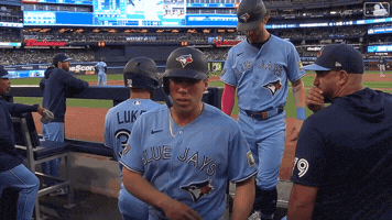 Blue Jays Baseball GIF by Toronto Blue Jays
