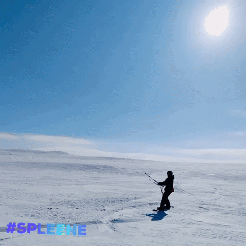 Snow Ski GIF by SPLEENE