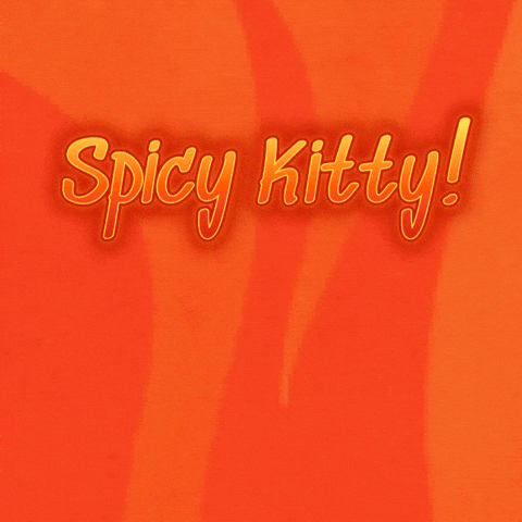 Cat Brush GIF by BaileyCatCo