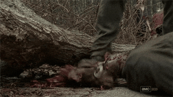 best season dead from walking