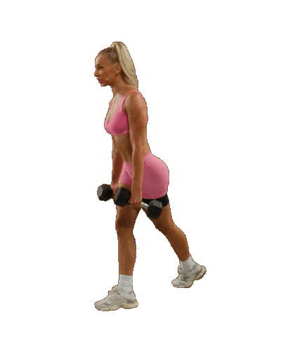 Fitness Workout Sticker by BODi