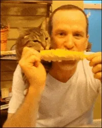 corn on the cob eating GIF