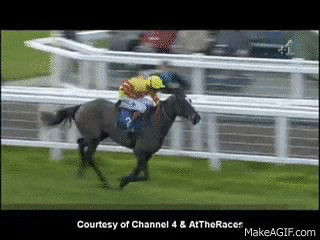 horse racing GIF - horse racing GIF
