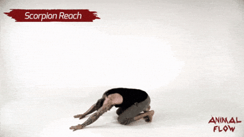 Fitness GIF