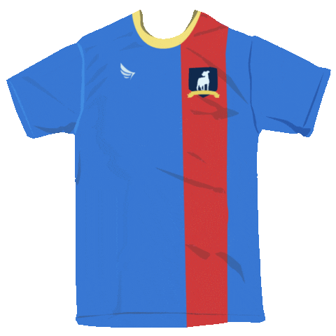 Soccer Sticker