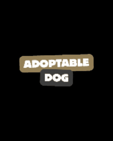 Dog Adoption GIF by HDBnQ Rescue