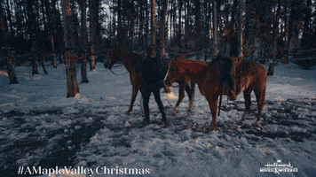 Snow Horse GIF by Hallmark Mystery