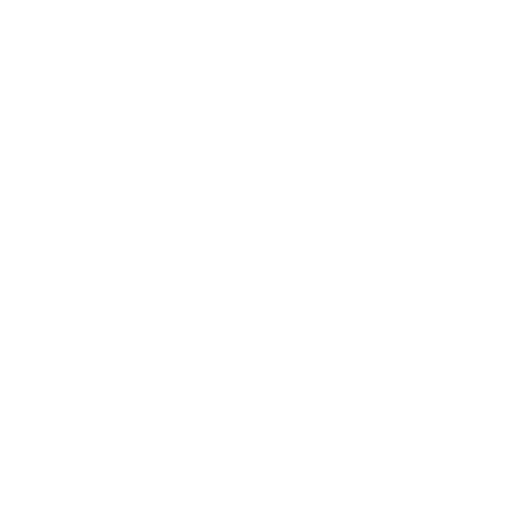 90S Reunion Sticker by Zomerfeest Gorinchem