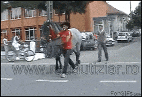 200_s.gif