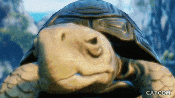 Street Fighter Turtle GIF by CAPCOM