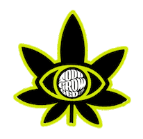 Summer Flower Sticker by Todogrowled