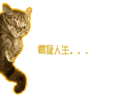 Cat Sticker