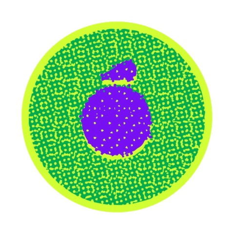 Salesforce Partner Sticker by Orange Digital CX