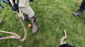 200.gif?cid=fc005b08a08b06b66cab11fc2b3f5b366e30433157a906b4&rid=200.gif&ct=g