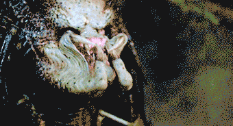 Predator GIF