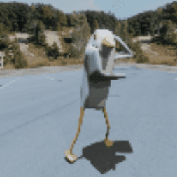 Dance Dancing GIF
