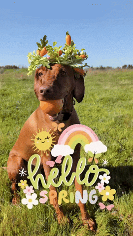 Happy Spring Hellospring GIF